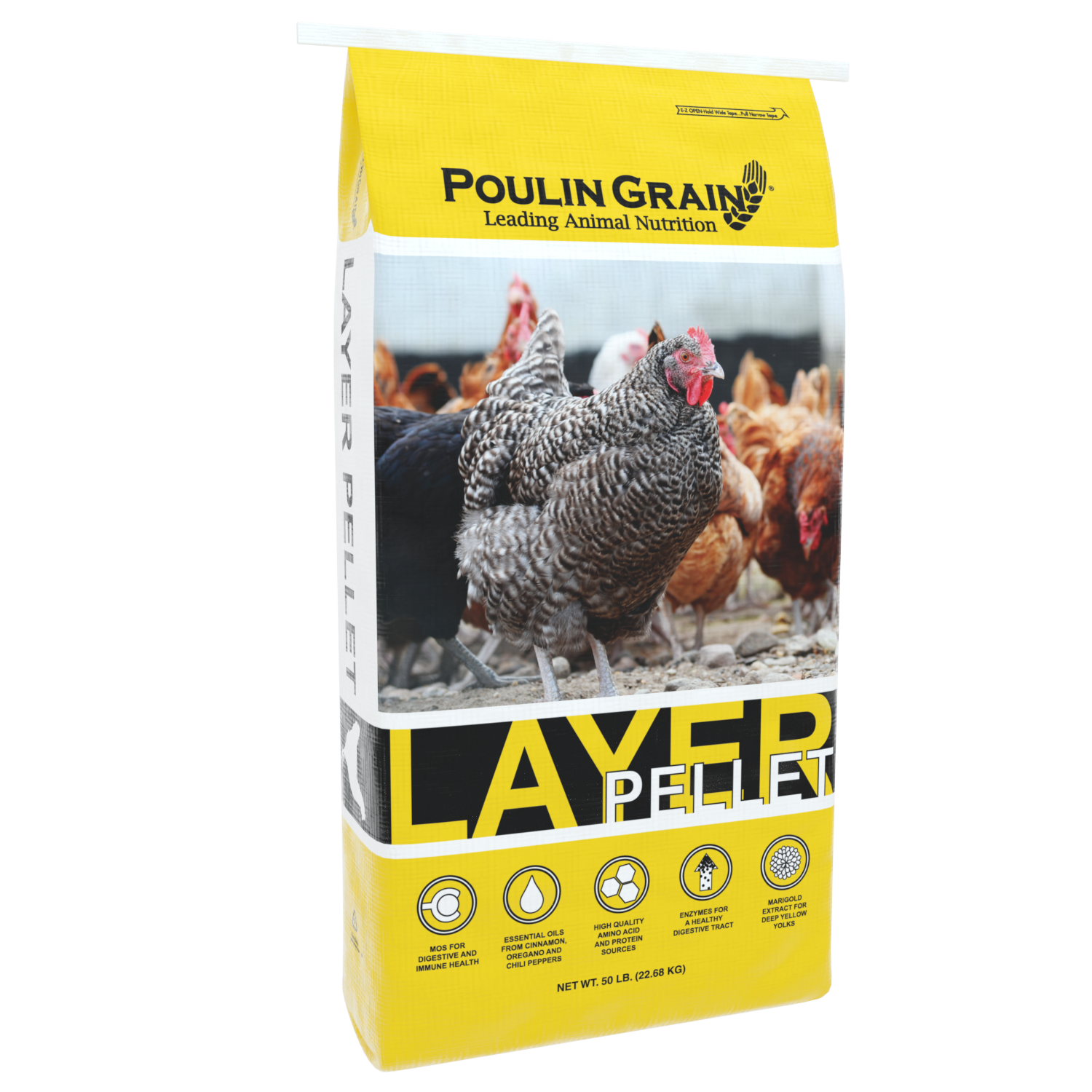 Layer Pellet CHICKEN FEED 50# n