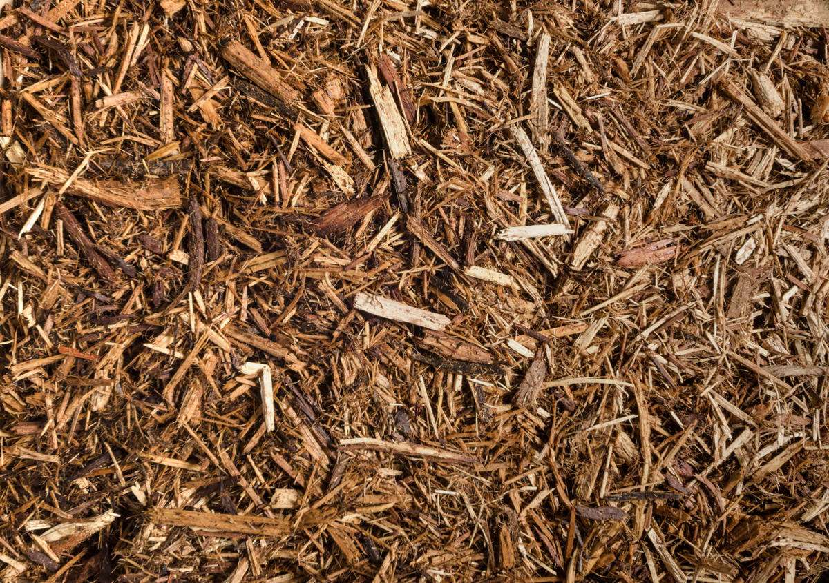NATURAL CEDAR MULCH 2 CF BAG S65
