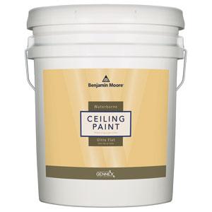 WATERBOURNE CEILING WHITE 5 GAL