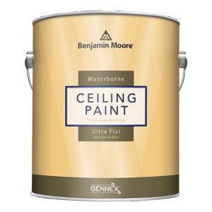 WATERBORNE CEILING BASE 1 GAL